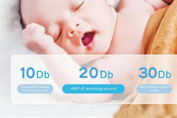 A6FE silencieuse.webp